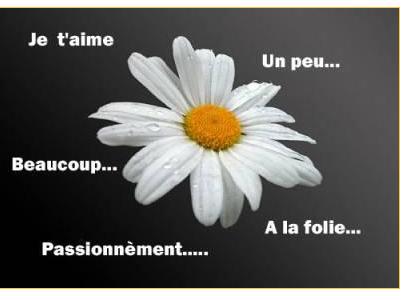 je t'aime