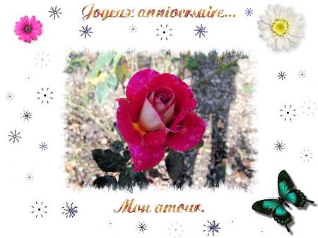 joyeux anniversaire .....